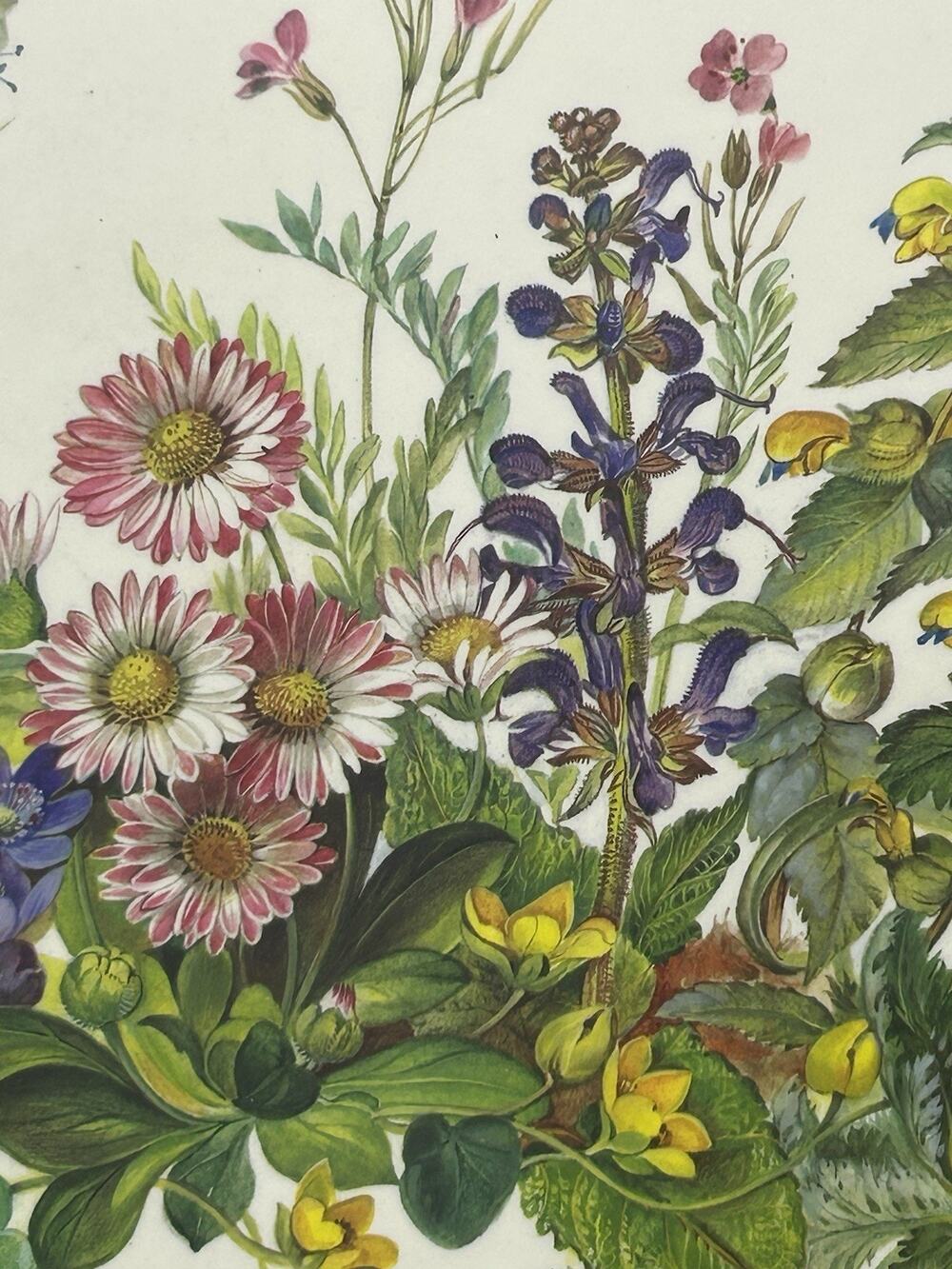 Pimpernel Cork Backed Placemat Wildflower Meadow Flowers.